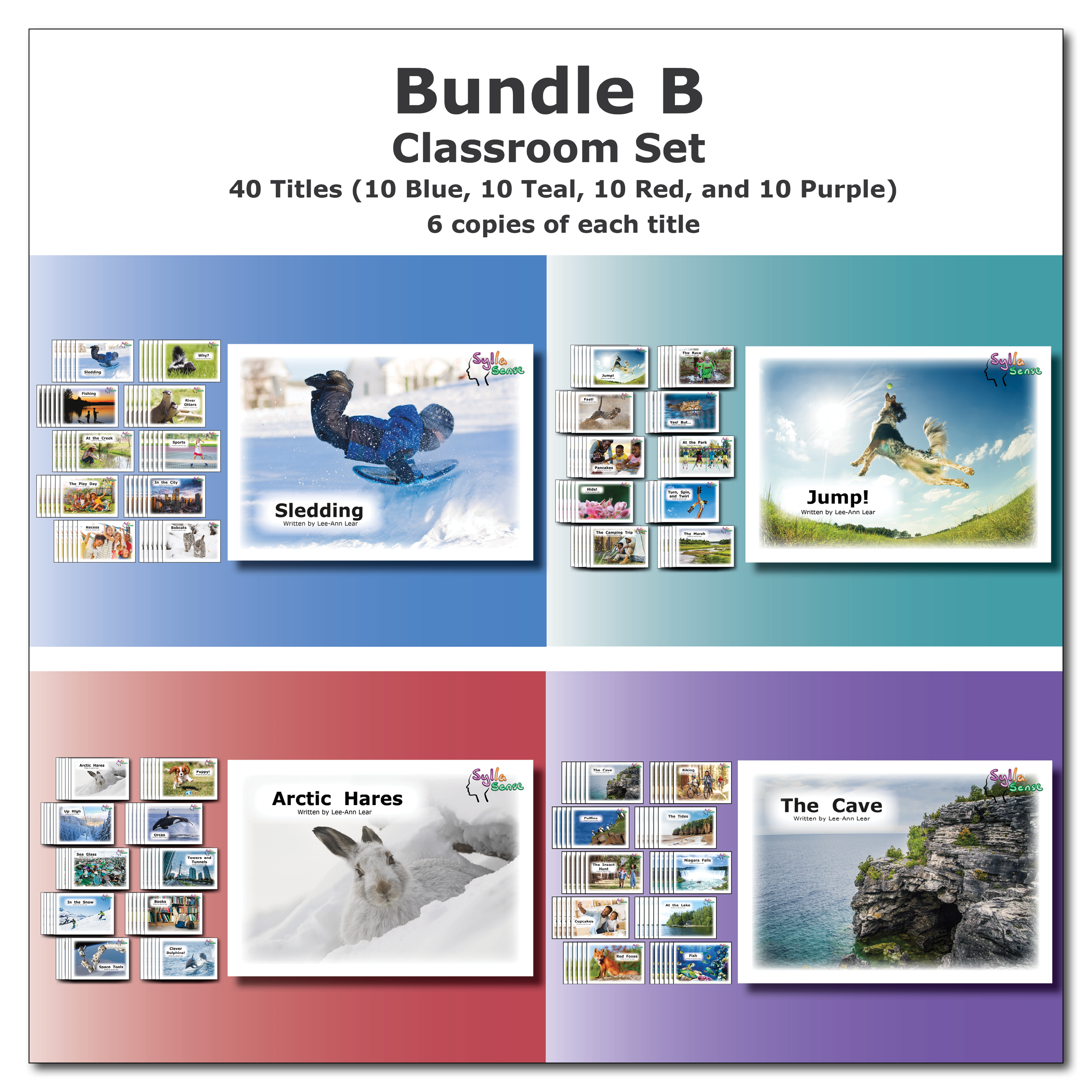 Bundle B - Classroom Set – SyllaSense