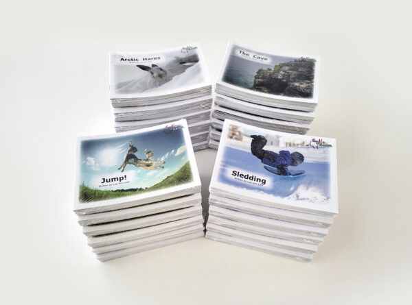 Bundle B - Image 2