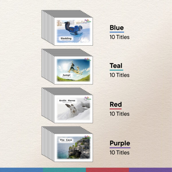 Bundle B - Image 2
